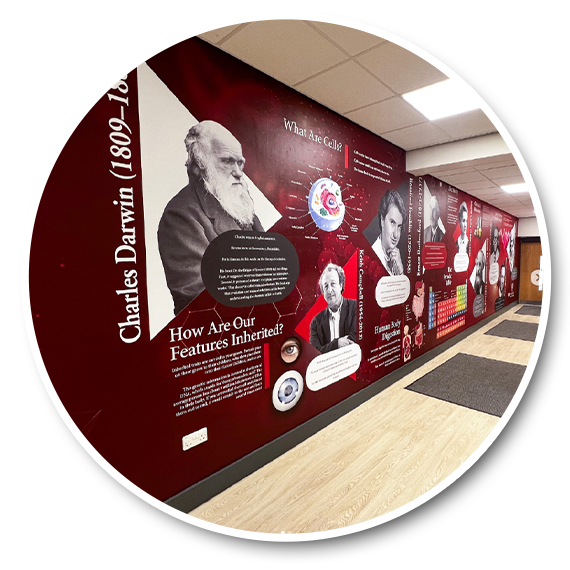 School Wall Graphics Cheshire